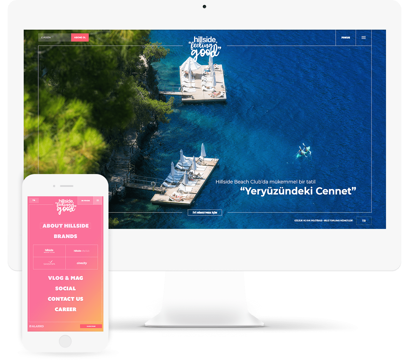 Hillside Enüstkat Interactive