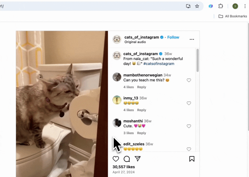 Instagram Post Comments Scraper Scrape Comments & Profiles(04)