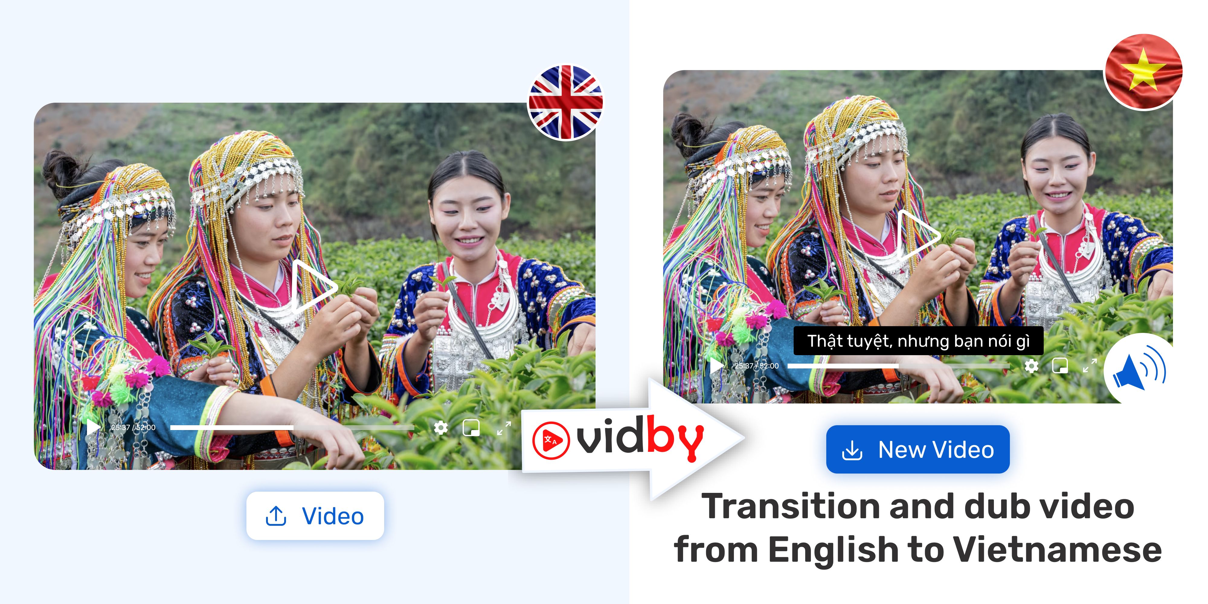 Translate Video from English to Vietnamese vidby