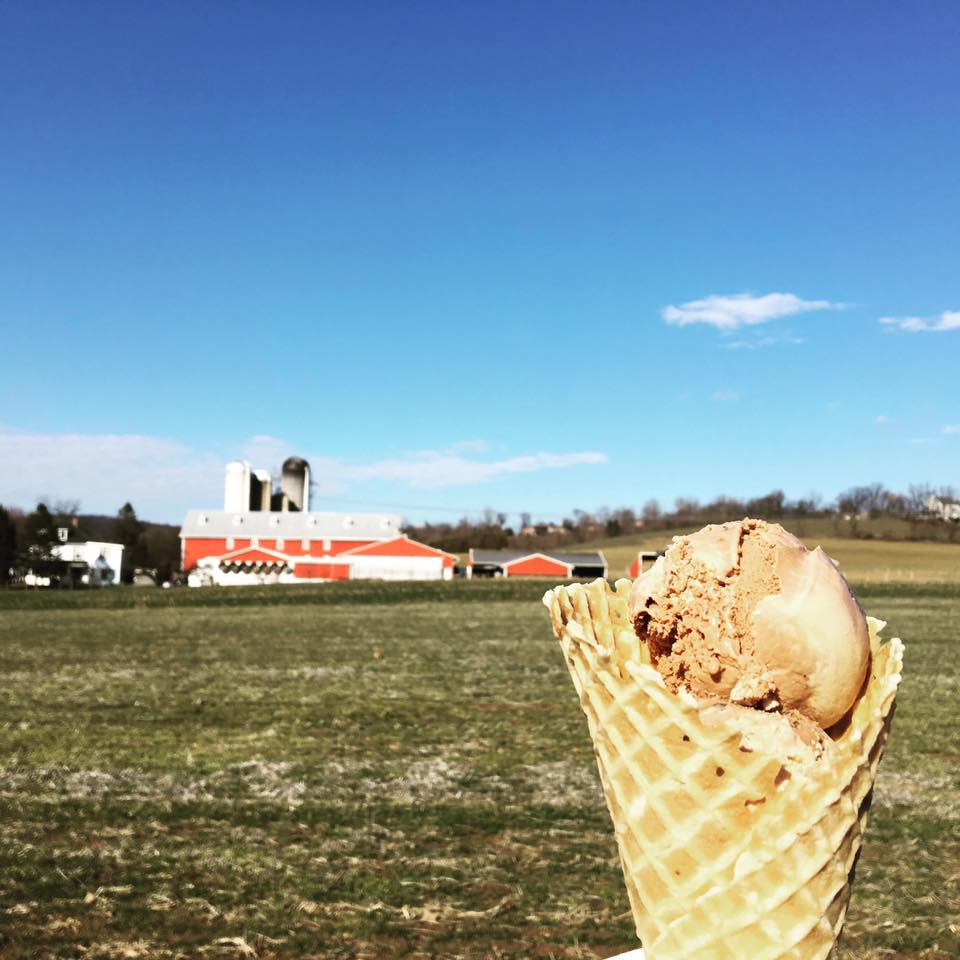 Scootin For Scoops...of Ice Cream Tour Strasburg Scooters