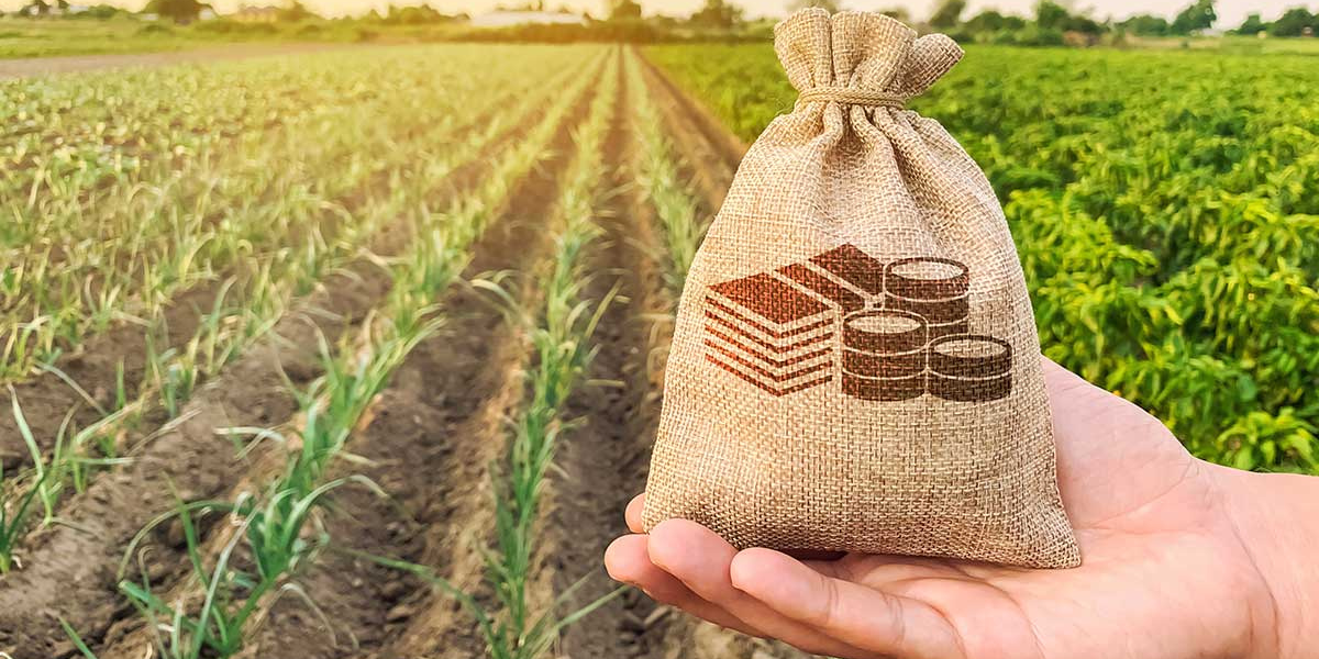 Nicholsons Solicitors Land Tax Changes Are Coming Stratacare Australia