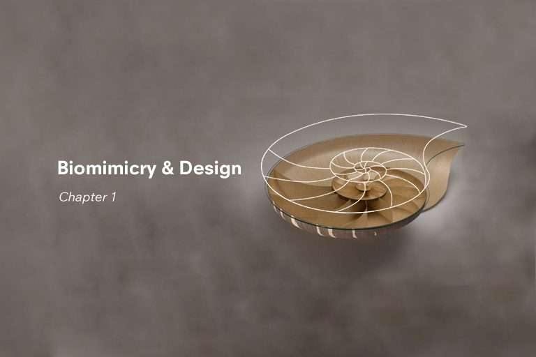 Biomimicry and Design Chapter 1 Strate School of Design