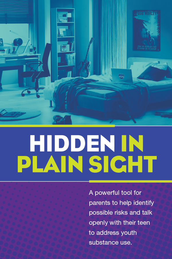 Hidden in Plain Sight Strategic Prevention Partnerships
