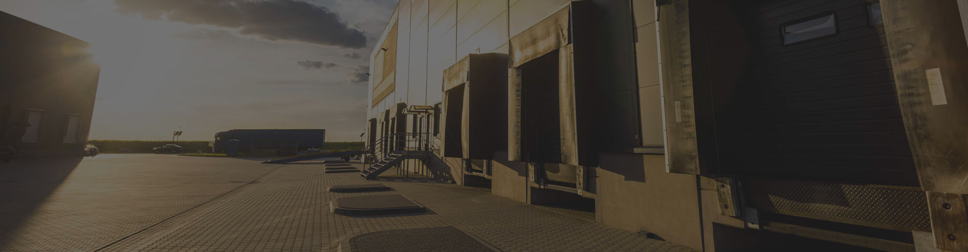 Development & Investment Strategic Real Estate Partners