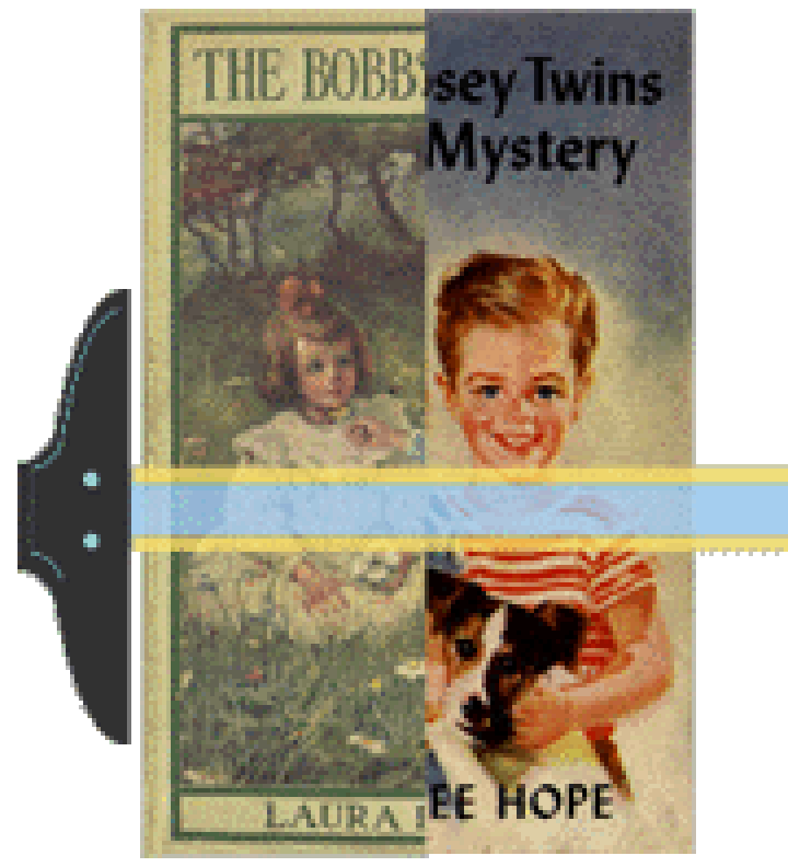 Bobbsey Twins Formats
