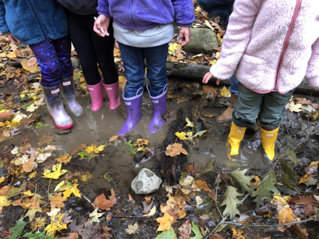 Environmental Education Internships Summer 2023