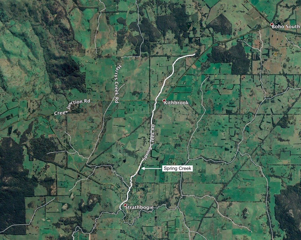 Spring Creek naturalist’s diary Strathbogie Ranges Nature View