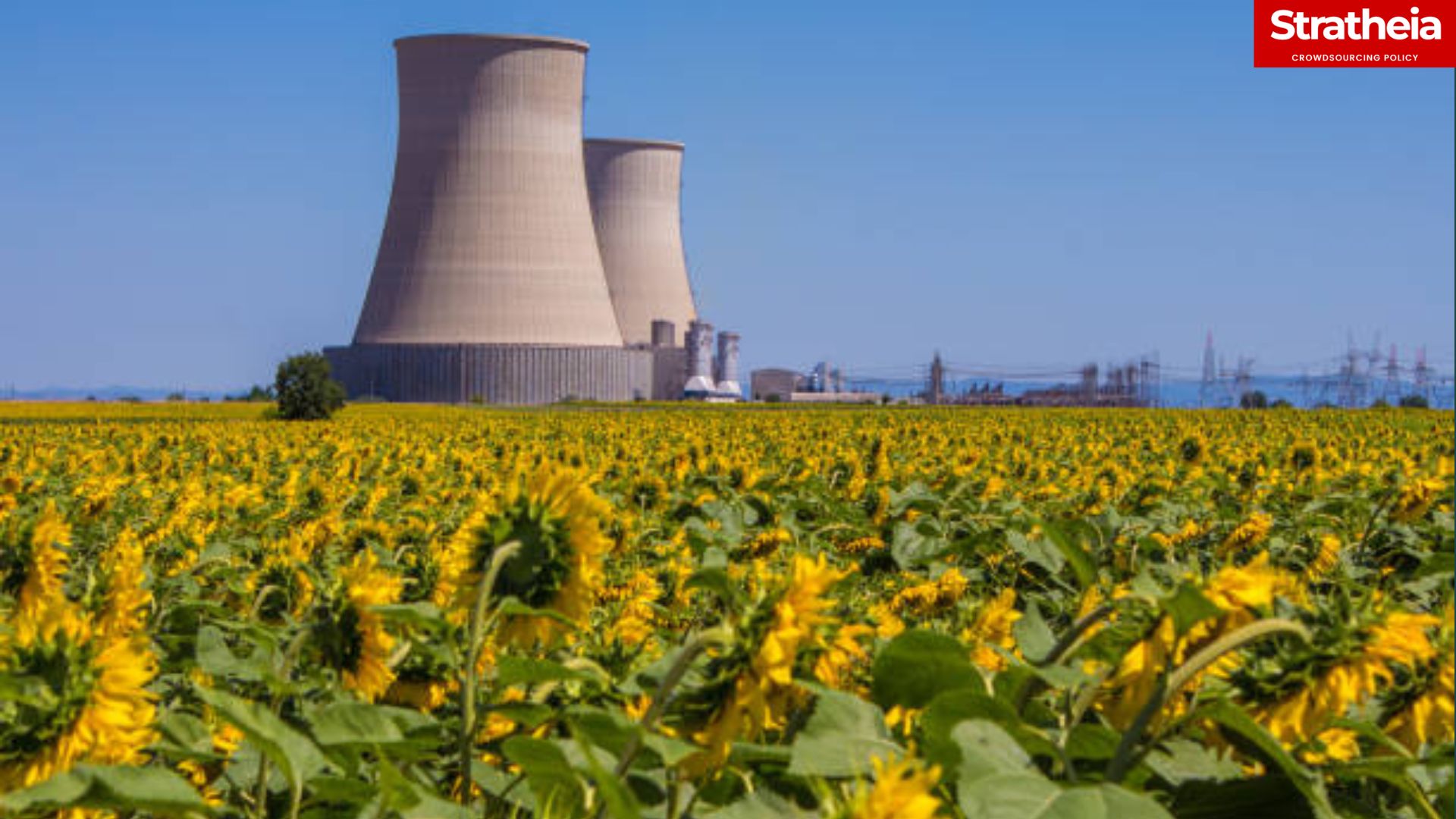 Nuclear Technology and Food Security Stratheia