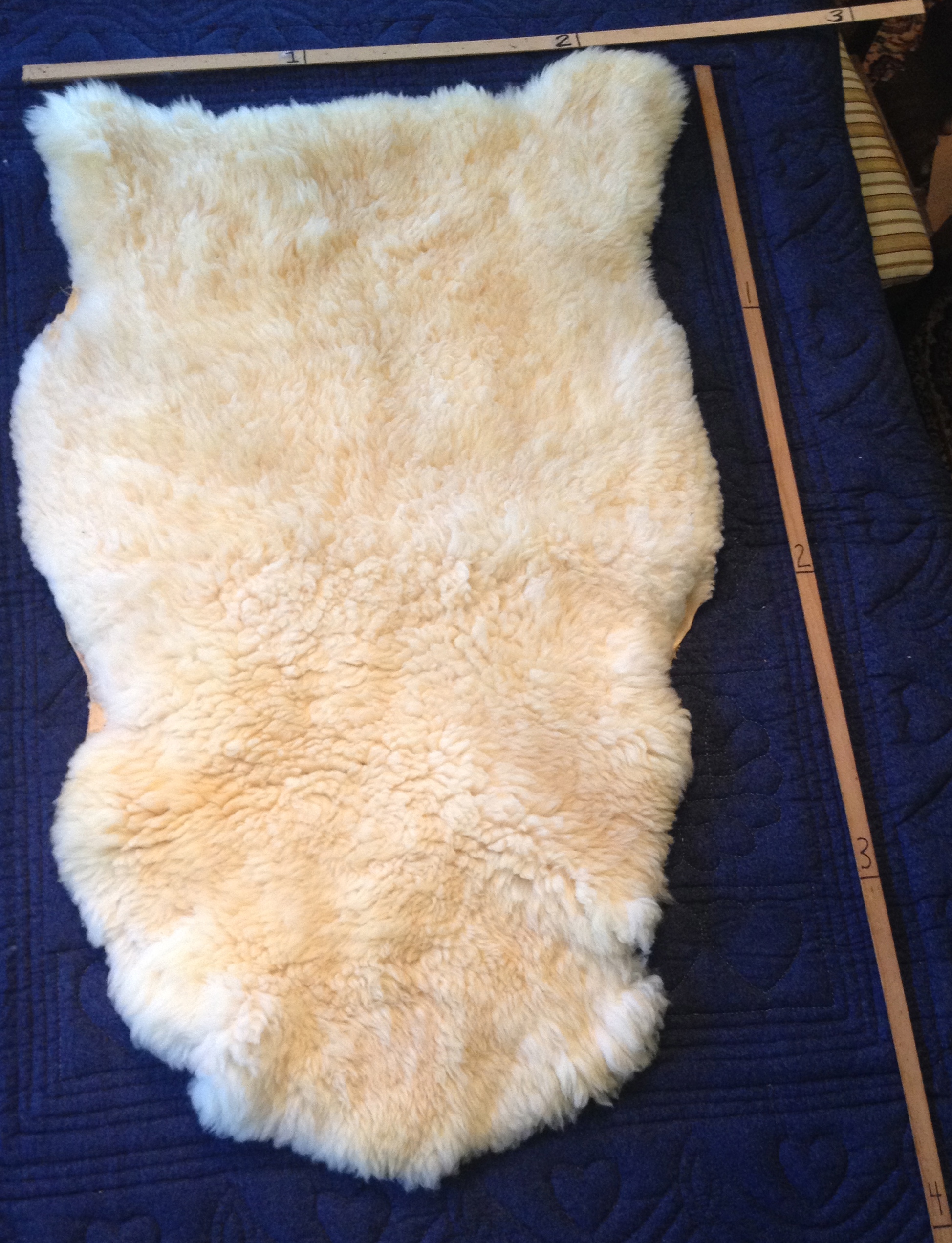 Photos of Sheepskins (Items 1 17) Stratton Hall 1794