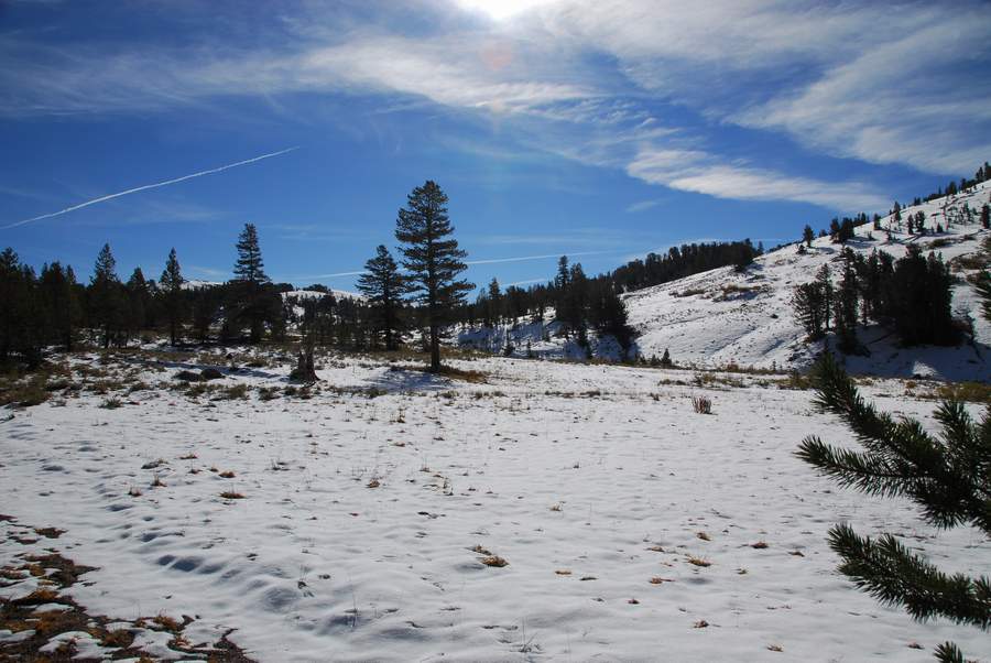 Strawberry, California 95375