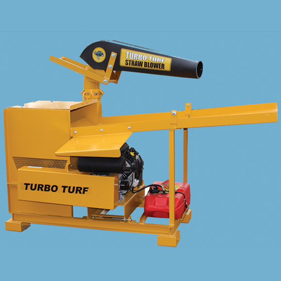 Pricing – My WordPress