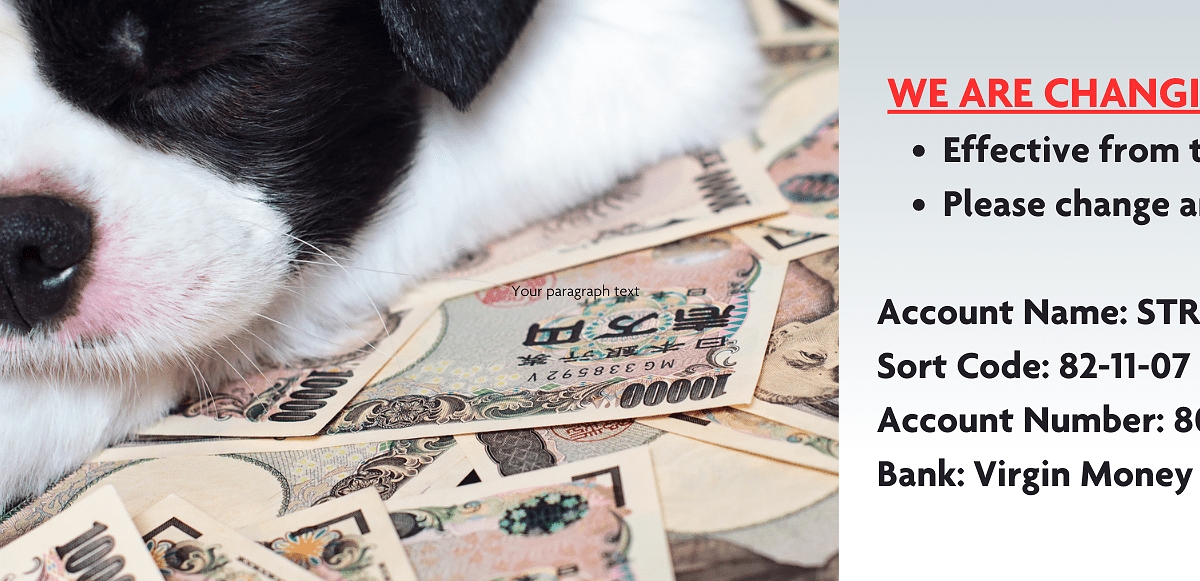 Adoption Process UK Foster Stray2Me Rescue