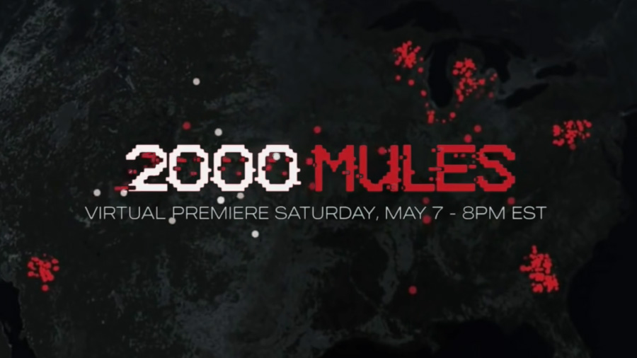 Did You See 2000 MULES This Weekend? The Stream