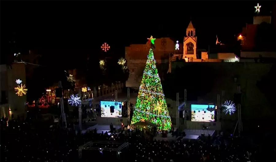 Giant Christmas Tree Raised in Bethlehem — Hope of Peace The Stream