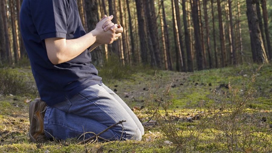 14 Counting the Cost Rob’s Blob