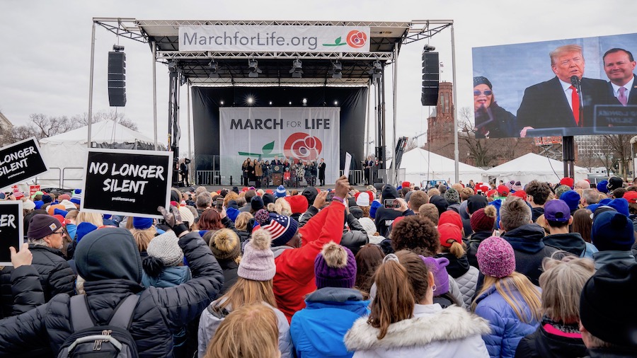 What the March for Life Means for the Year Ahead The Stream