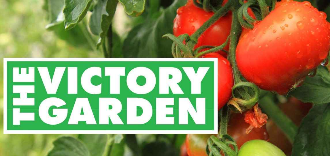 10 best gardening shows on Amazon Prime in 2023 StreamDiag