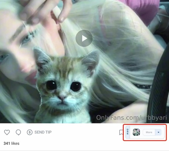 OnlyFans DRM Downloader | Streamfork