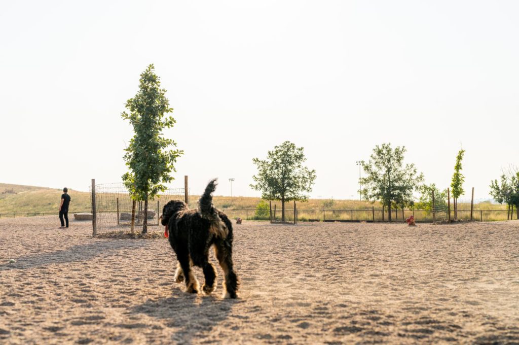Lowry East Open Space and Dog Park