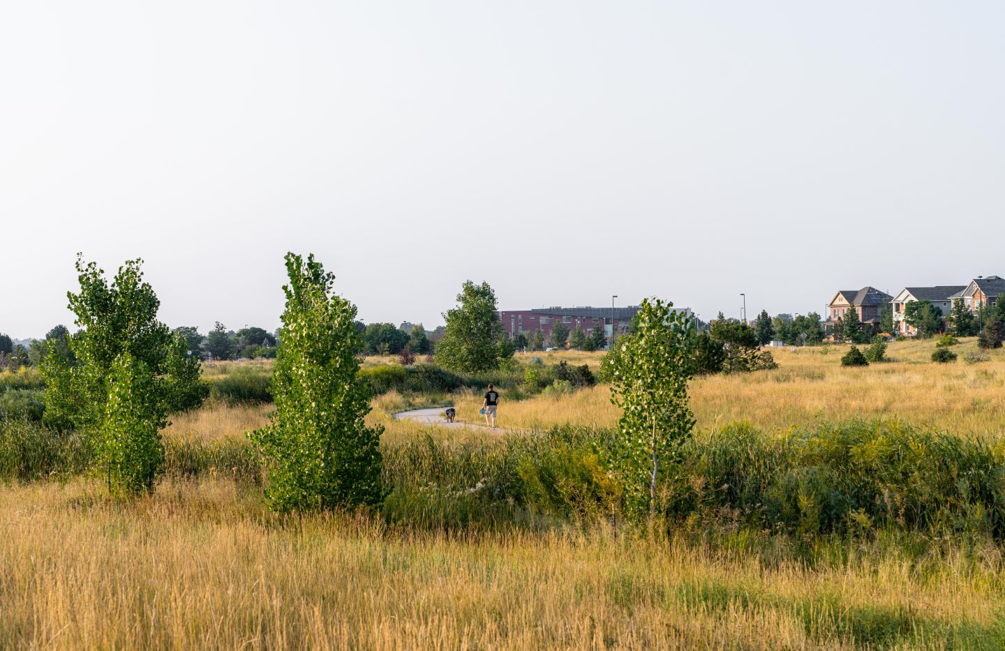 Lowry East Open Space and Dog Park