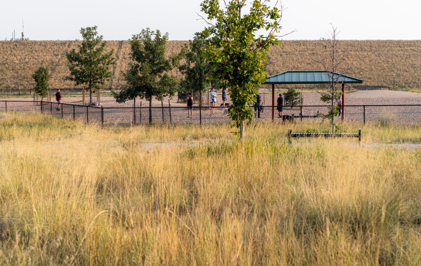 Lowry East Open Space and Dog Park