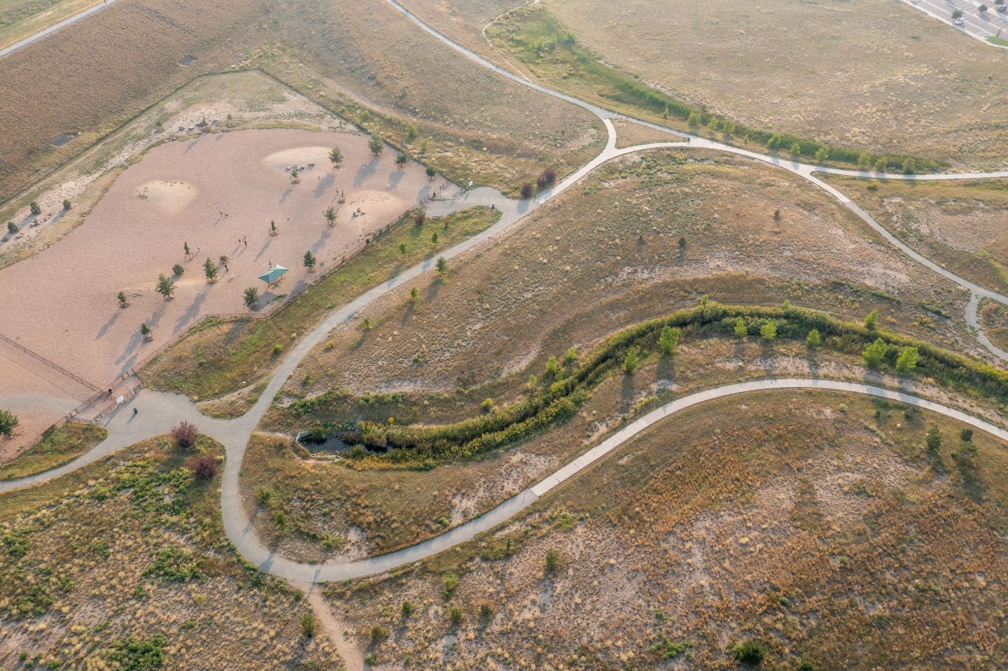 Lowry East Open Space and Dog Park