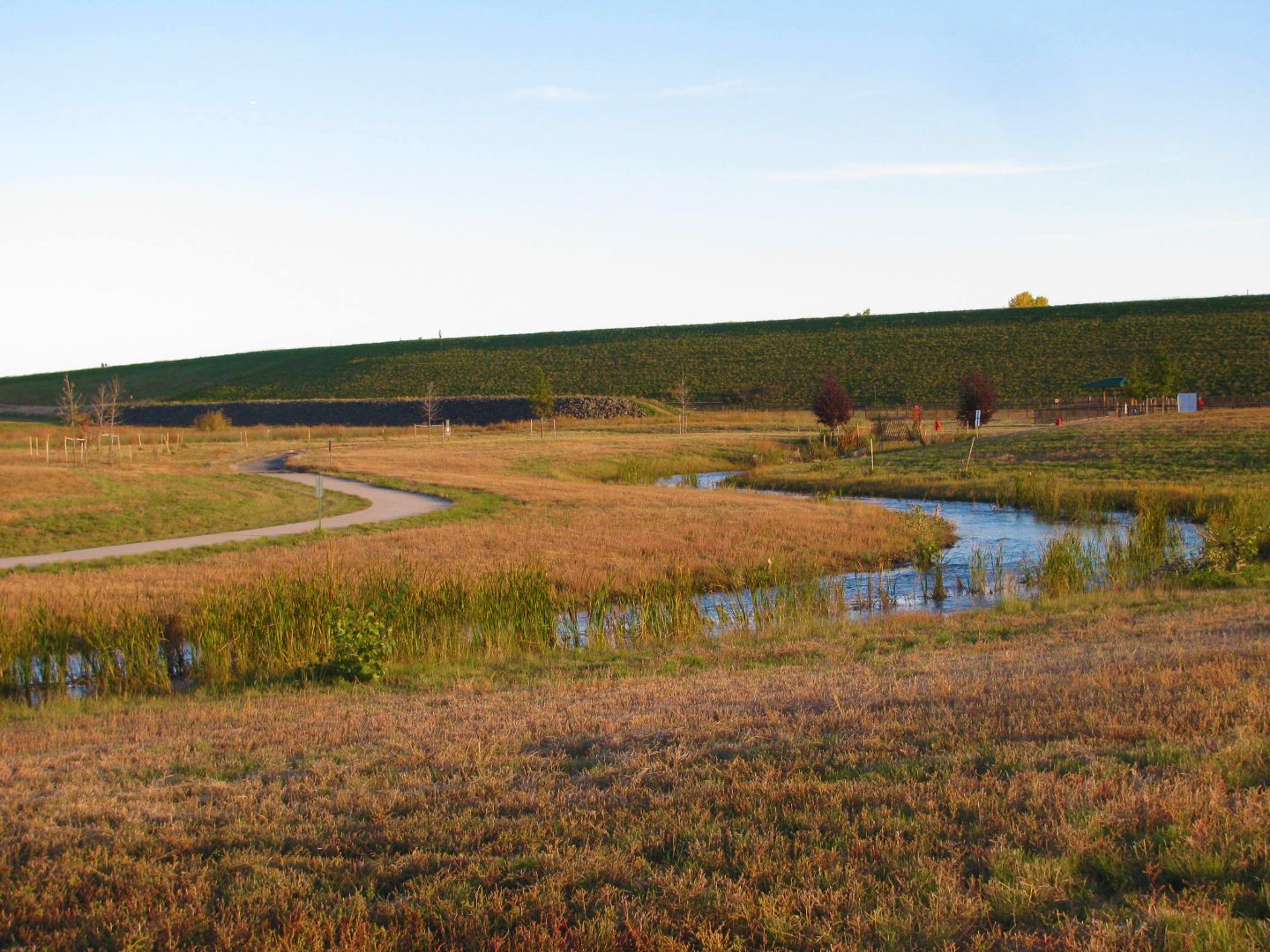 Lowry East Open Space and Dog Park