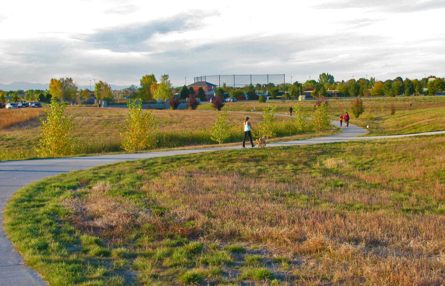 Lowry East Open Space and Dog Park