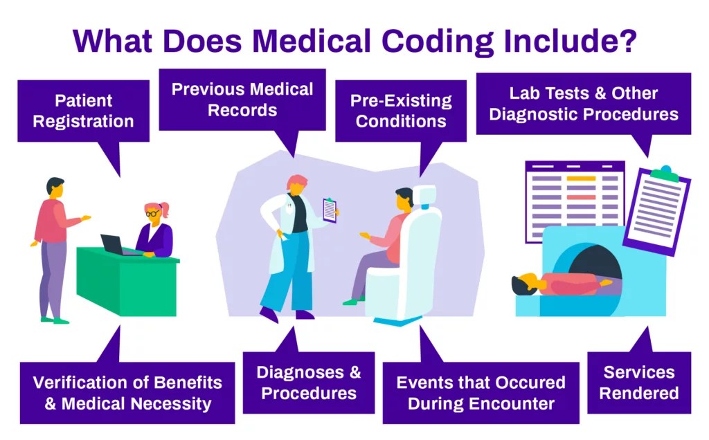 Medical Coding & Auditing Ensuring Financial Health (2024