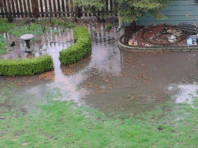 Fix Standing Water Issues Today! Streamline Landscaping