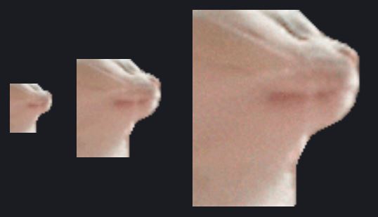 Catjam Twitch