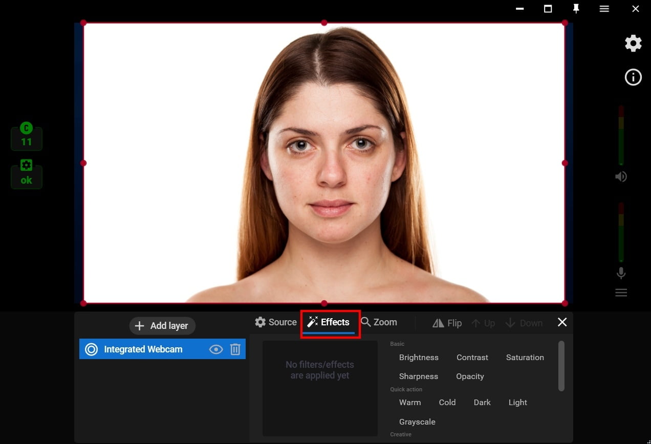 How to Make the Skin Smoother on the Live Stream Video Streamster
