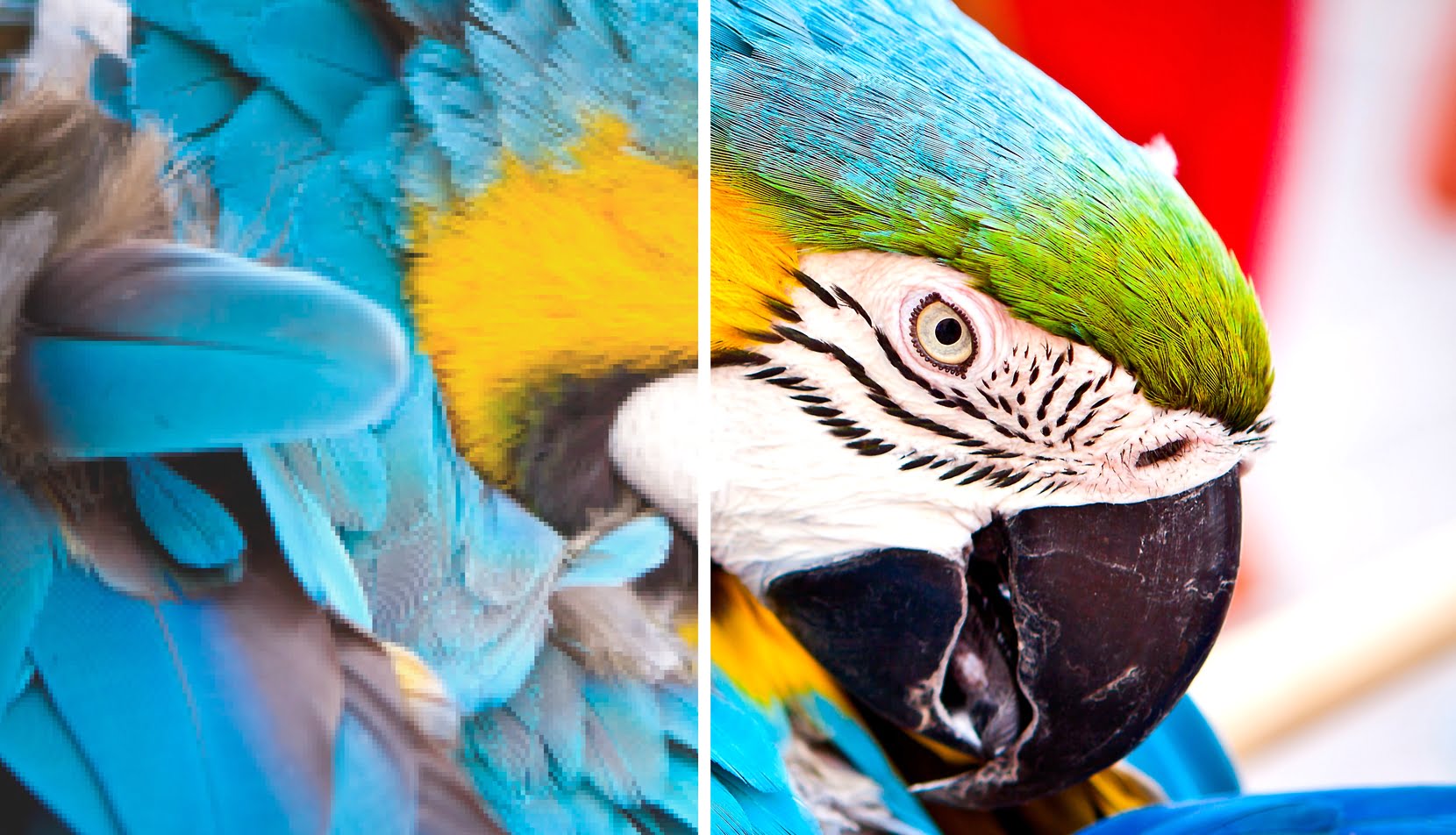 What is Video Bitrate The Full Guide Streamster