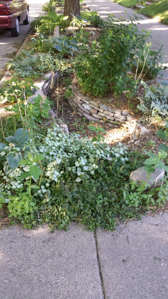 Eastern Audubon Park streets.mn