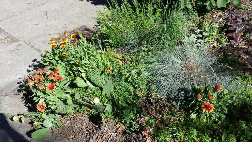 Eastern Audubon Park streets.mn