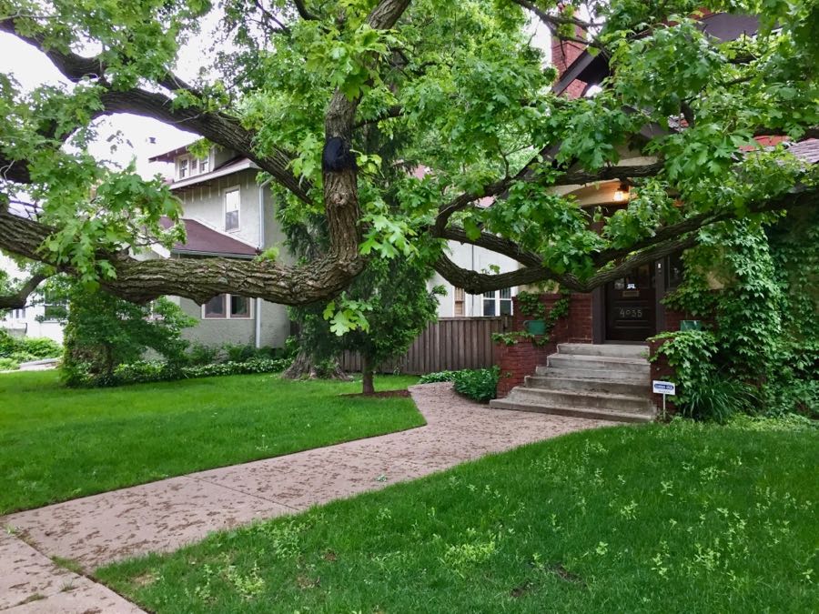 Burr Oak on Lyndale Avenue S streets.mn