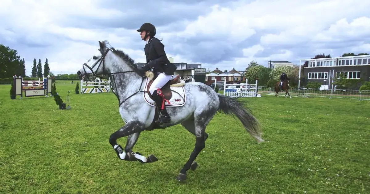 35 Stores Like Zumiez 2024 You Need To Know This Year