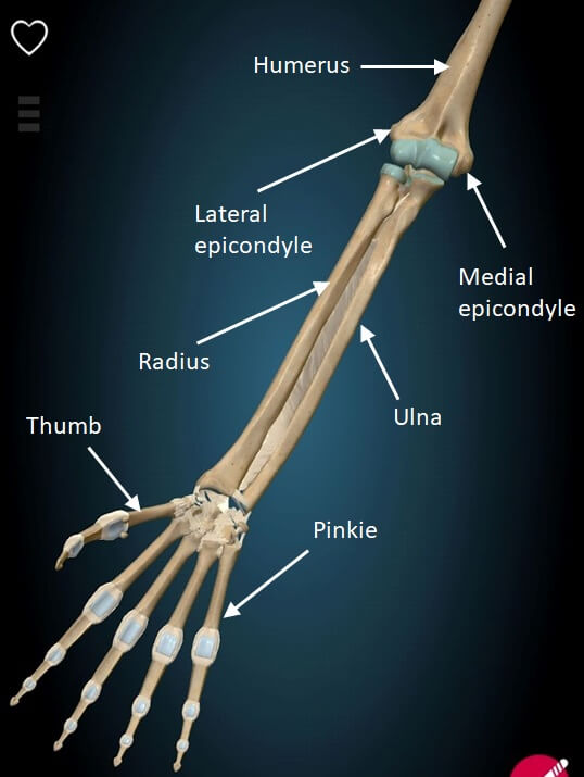 Elbow Pain The Ultimate Guide for Rock Climbers