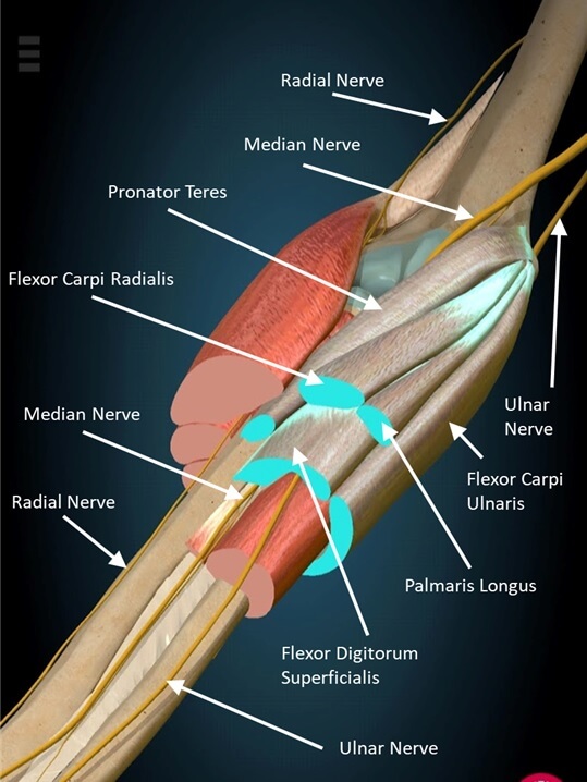 Elbow Pain The Ultimate Guide for Rock Climbers