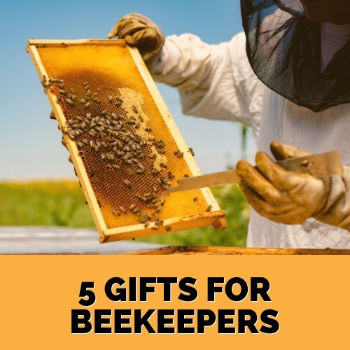 Five Gift Ideas for New Beekeepers Strength of Love