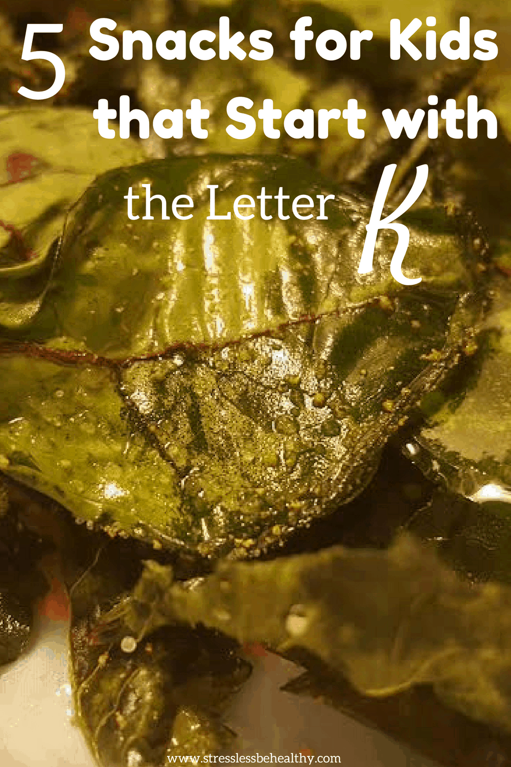 5 Snacks For Kids That Start With The Letter K