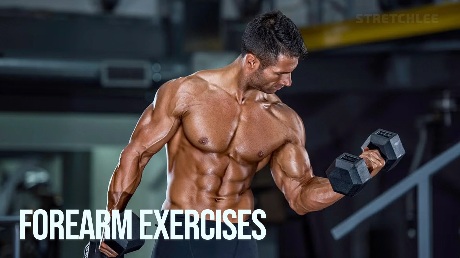 7 Forearm Exercises for Stronger Arms and Grip Strength