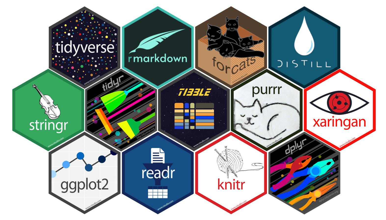 .Rmd Fieldguide Lesson 2 Build your Working 🧱️ Environment