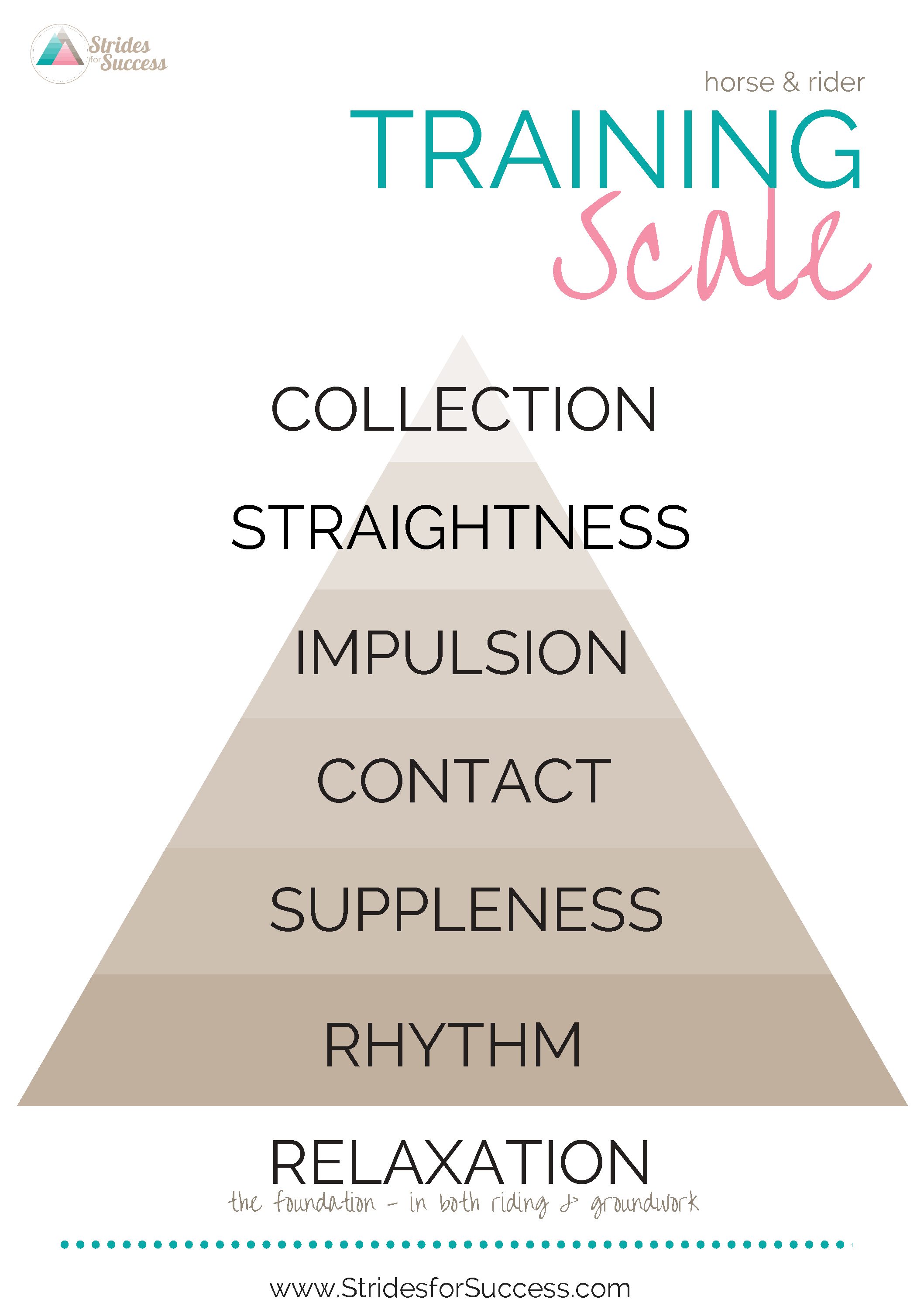 training scale Strides for Success