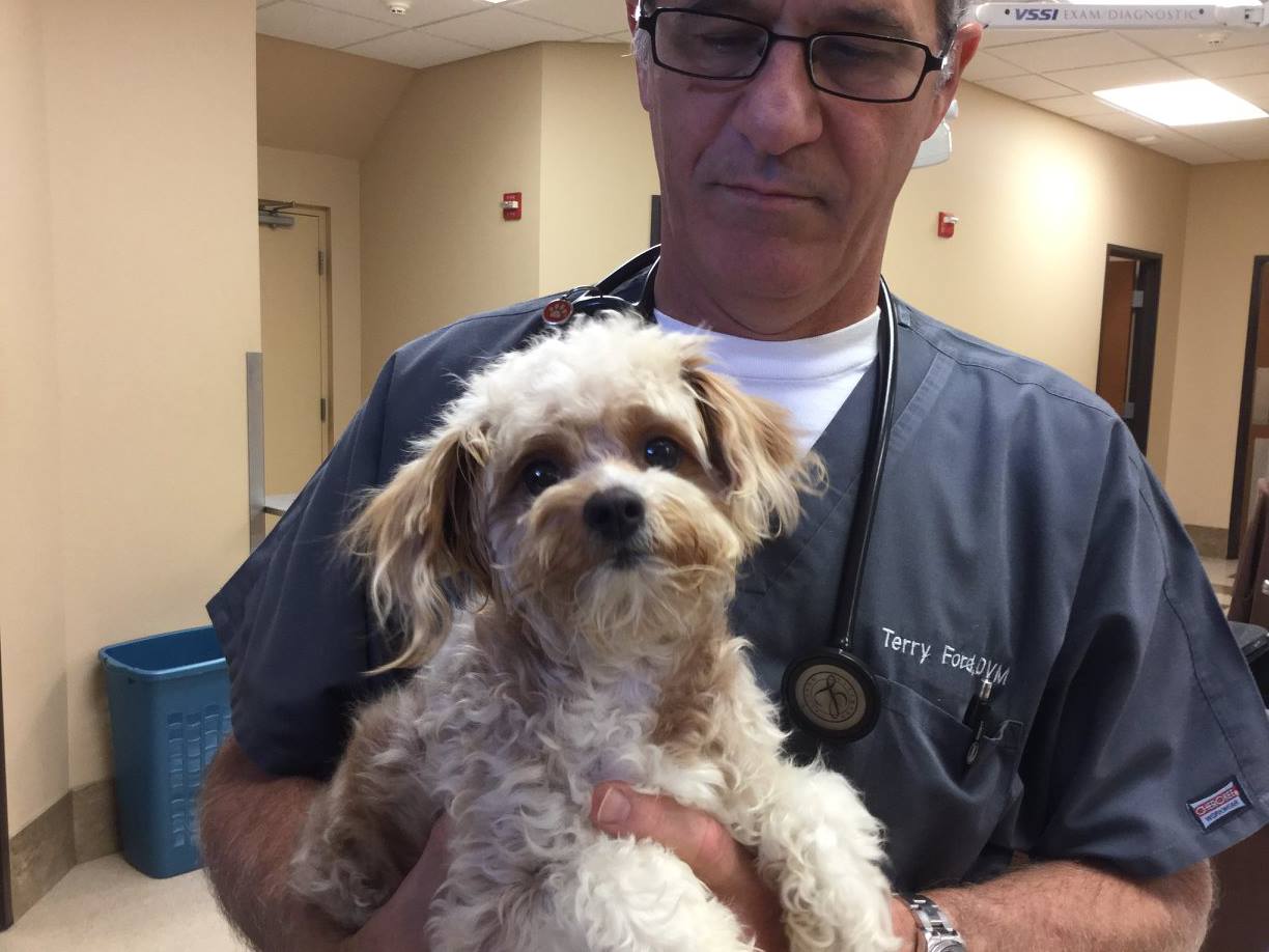 I Love Lucy A Letter Of Gratitude Strides of Faith