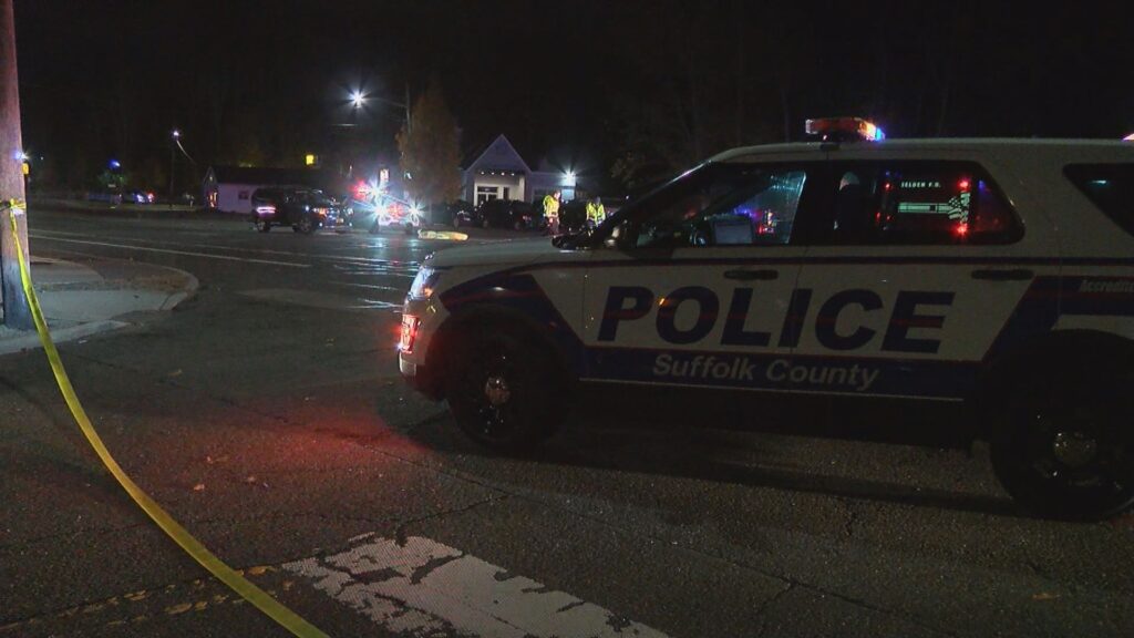 Pedestrian Struck and Killed in Selden Stringer News
