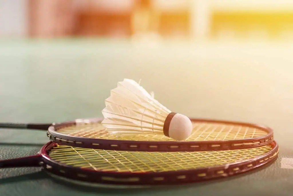 A Guide to Lightweight Badminton Rackets Strings and Paddles
