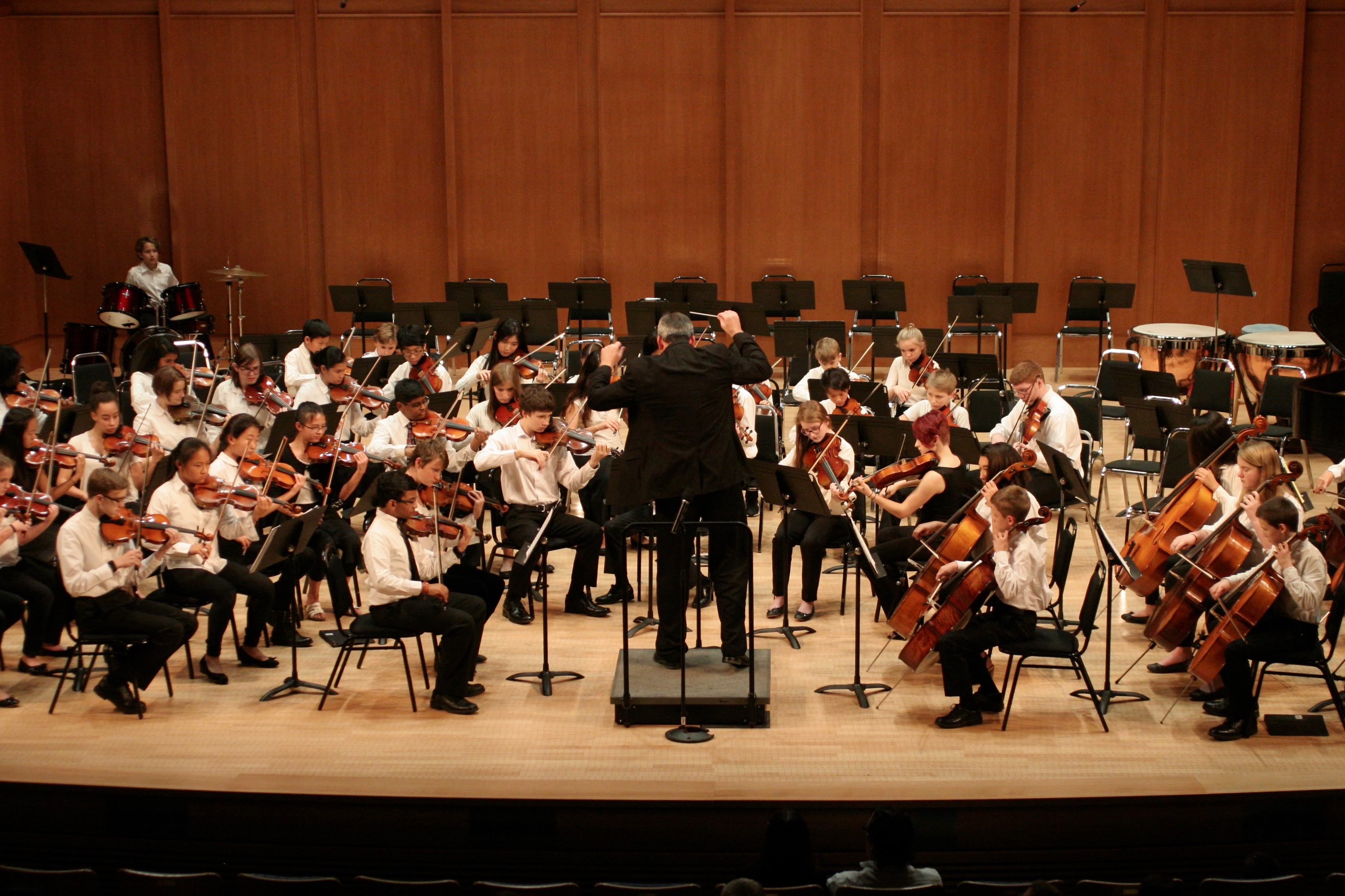 Concert String Orchestra Duke String School