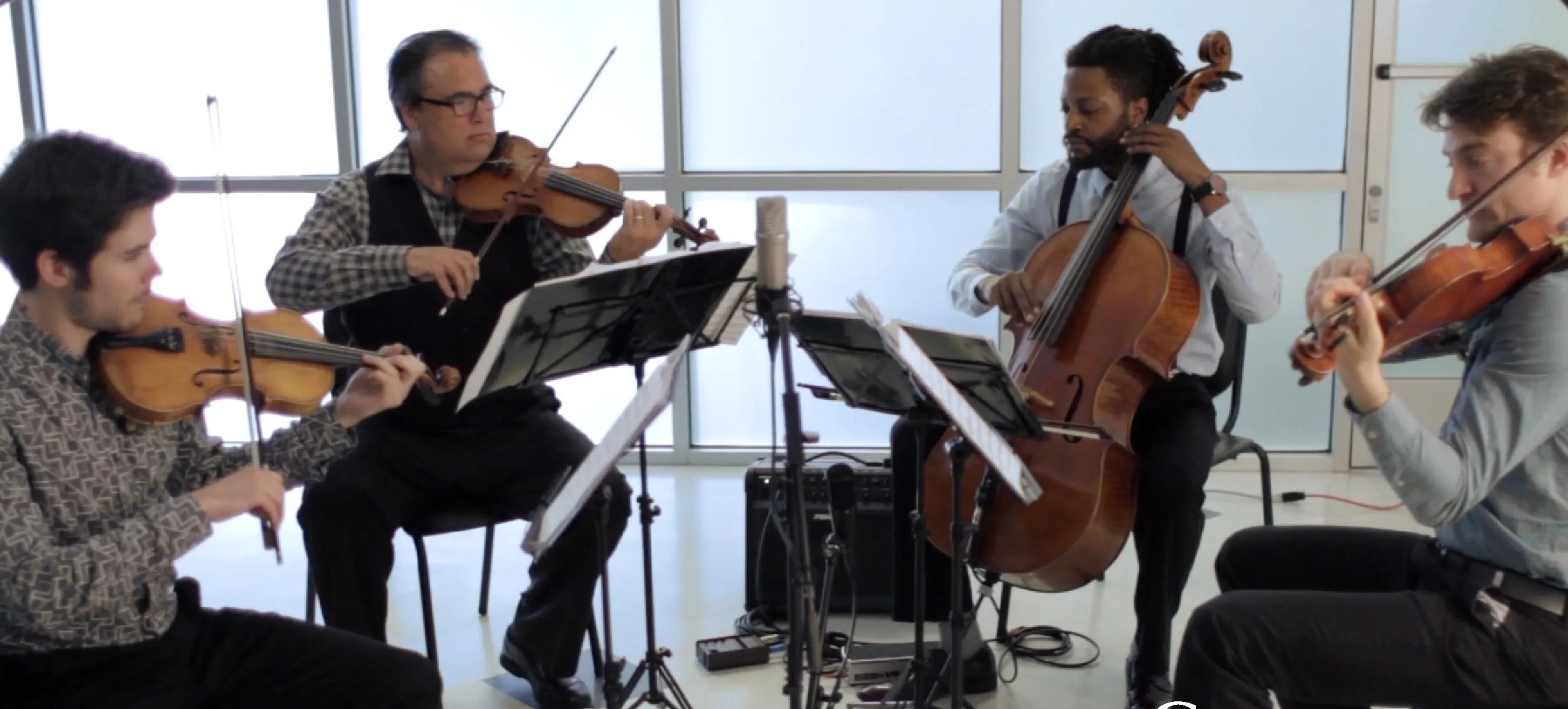 Strings Sessions Presents Turtle Island String Quartet Strings Magazine