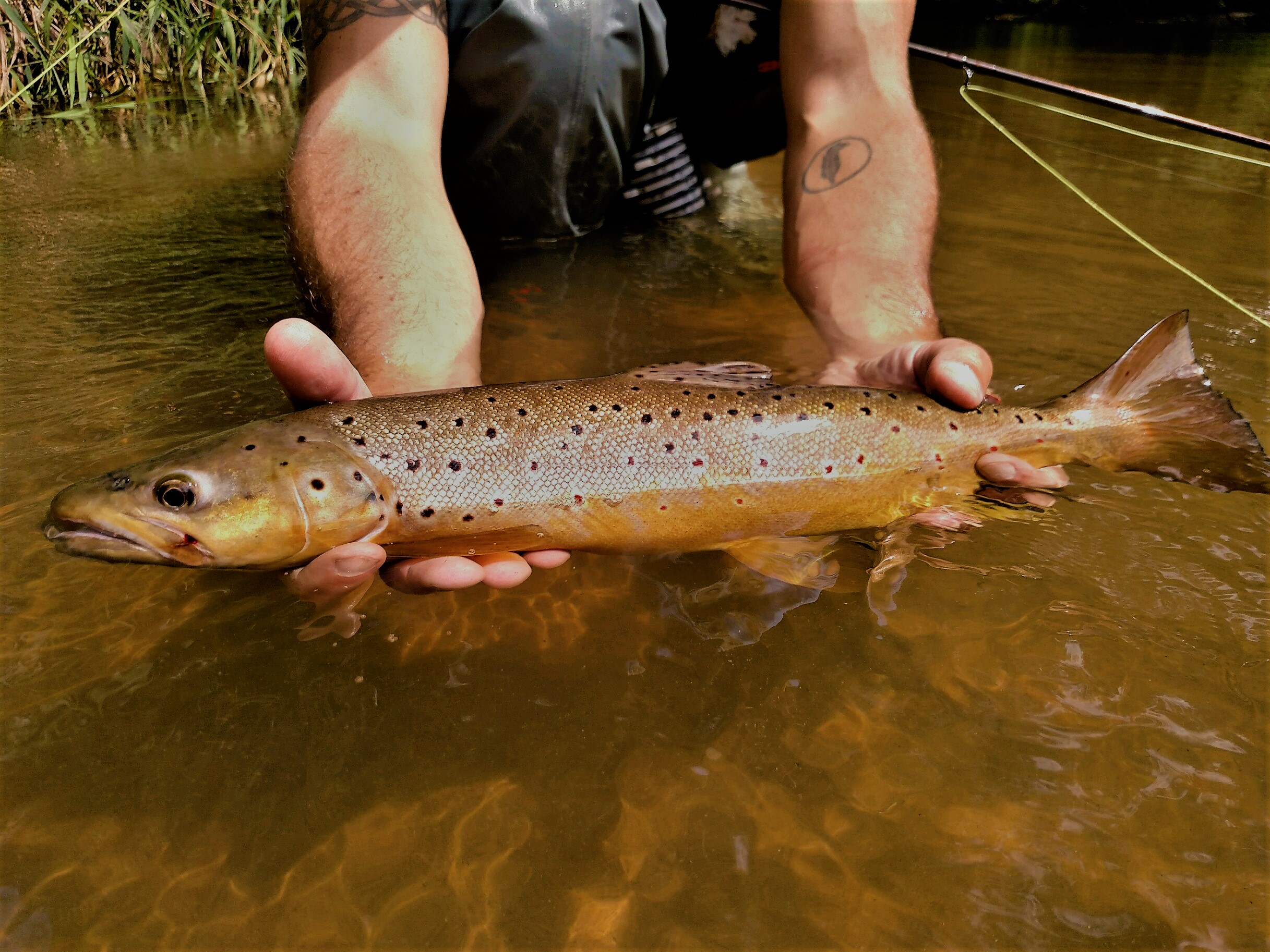 Fly Fishing Guide In Wisconsin